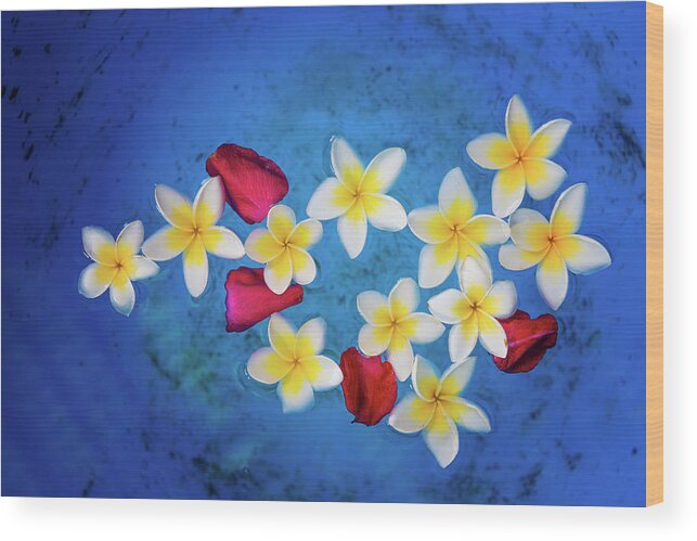 Flowers Wood Print featuring the photograph Flowers of Laos by Philippe Sainte-Laudy