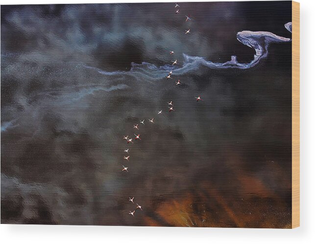 Aerial Wood Print featuring the photograph Fly Over The Fantasy Lake by Hao Jiang