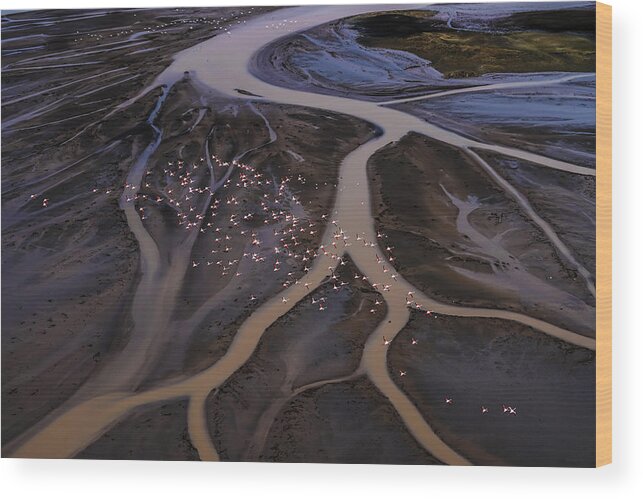 Landscape Wood Print featuring the photograph Flying Over Lake Magadi -1 by Raymond Ren Rong Liu