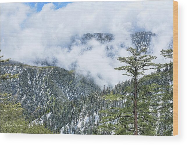 Top Wood Print featuring the photograph Fog Across The Valley by Paulette B Wright