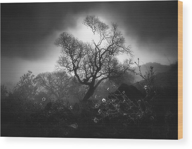 Fog Wood Print featuring the photograph Fog Scene by Aidong Ning