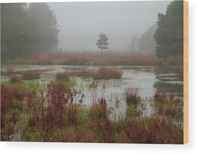 Cloverdale Farm Wood Print featuring the photograph Foggy Morning at Cloverdale Farm by Kristia Adams