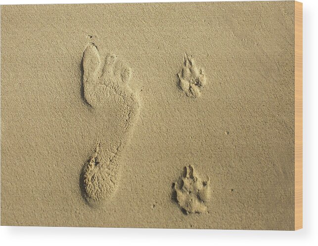 Human Print Wood Print featuring the photograph Foot print and paw prints by Julieta Belmont