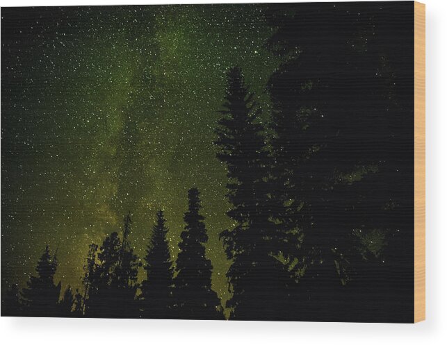 Constellation Wood Print featuring the photograph Forest And Milky Way At Night by Rontech2000