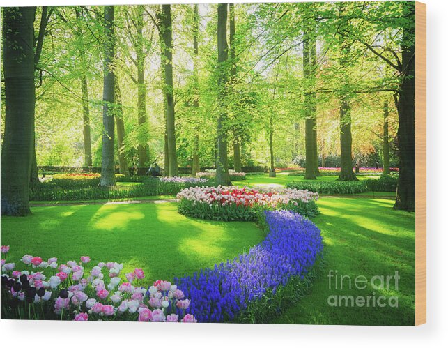 Landscape Wood Print featuring the photograph Fresh Spring Park by Anastasy Yarmolovich
