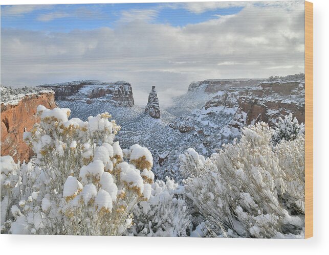 Colorado National Monument Wood Print featuring the photograph Fresh Snow at Independence Canyon by Ray Mathis