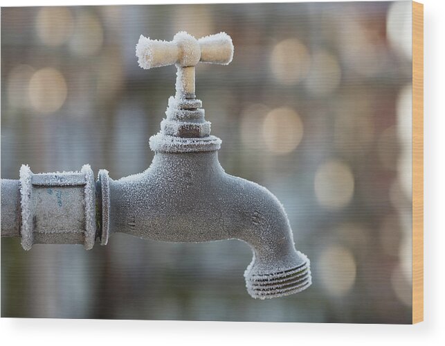 Climate Wood Print featuring the photograph Frost On Faucet, Water Tap, Switzerland by Brigitte Blättler
