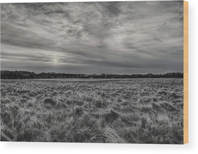 Black And White Wood Print featuring the photograph Frosty Hay Field Black And White by Dale Kauzlaric