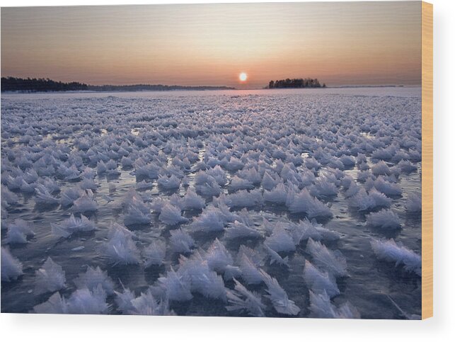 Ice Wood Print featuring the photograph Frozen Sea by Sten Wiklund