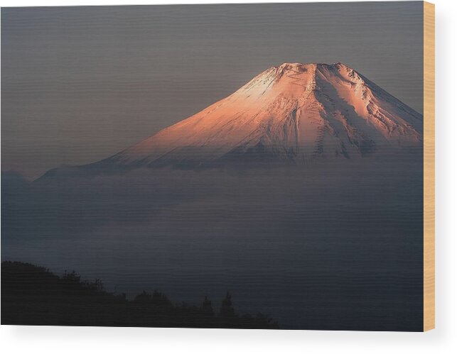 Mountain Wood Print featuring the photograph Fuji by Ik