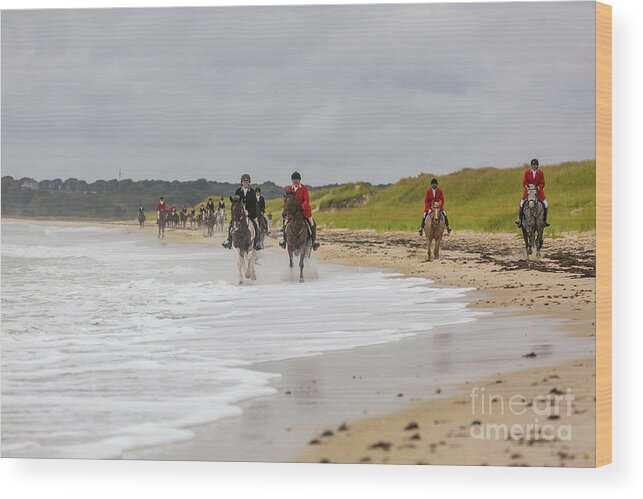 Equine Wood Print featuring the photograph Galloping Horses by JBK Photo Art