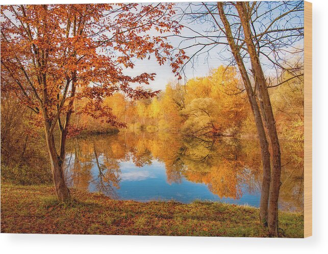 Autumn Wood Print featuring the photograph Garden of Nature by Philippe Sainte-Laudy