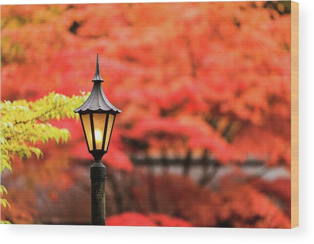 Japanese Garden Wood Print featuring the photograph Garden Sentry by Briand Sanderson