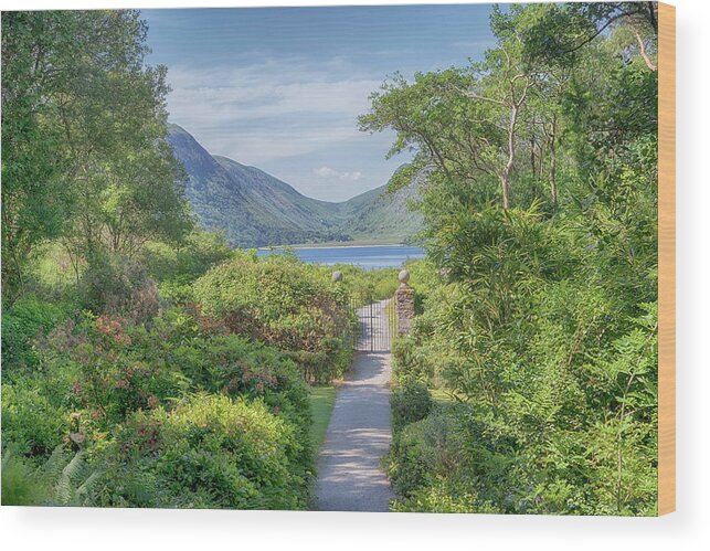Glenveagh Wood Print featuring the photograph Gate to Glenveagh by Wade Aiken