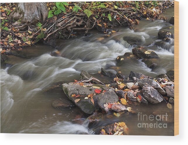 Autumn Wood Print featuring the photograph Gatineau Park's Fortune Creek by Michael Russell