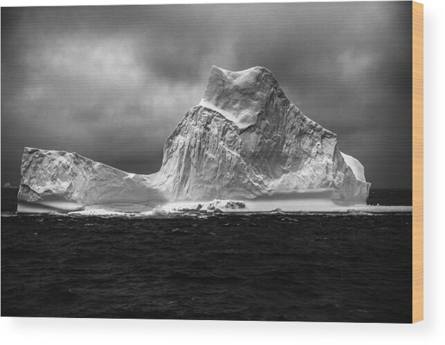 Arctic Wood Print featuring the photograph Giant by Leinibewi