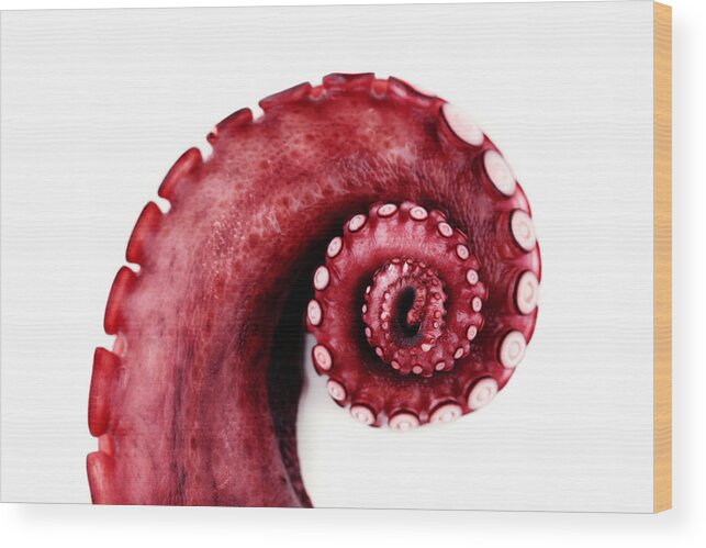 Ugliness Wood Print featuring the photograph Giant Octopus Wave by Kativ