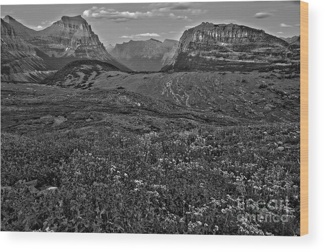 Logan Pass Wood Print featuring the photograph Glacier Landscape Of Color Black And White by Adam Jewell