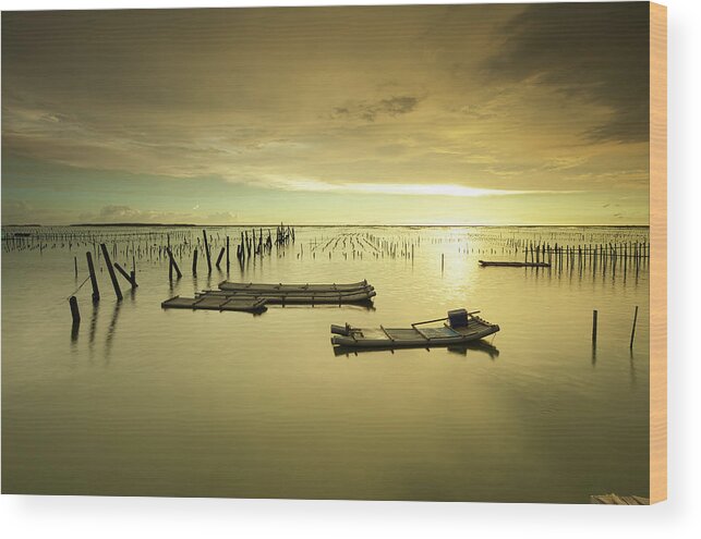 Tranquility Wood Print featuring the photograph Golden Heaven @ Cigu by Sunrise@dawn Photography
