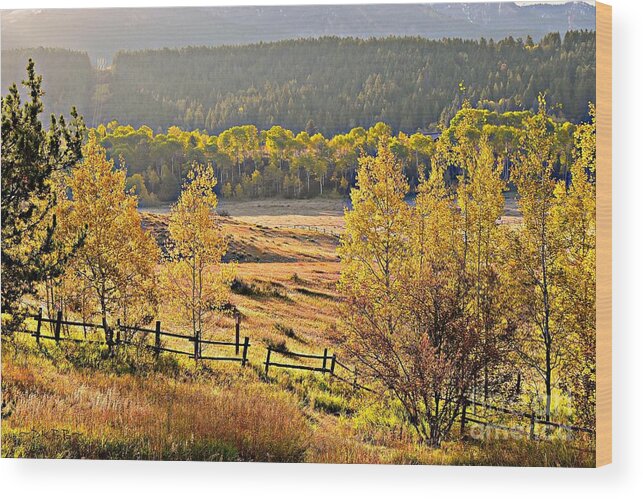 Fall Wood Print featuring the photograph Golden Hour by Dorrene BrownButterfield