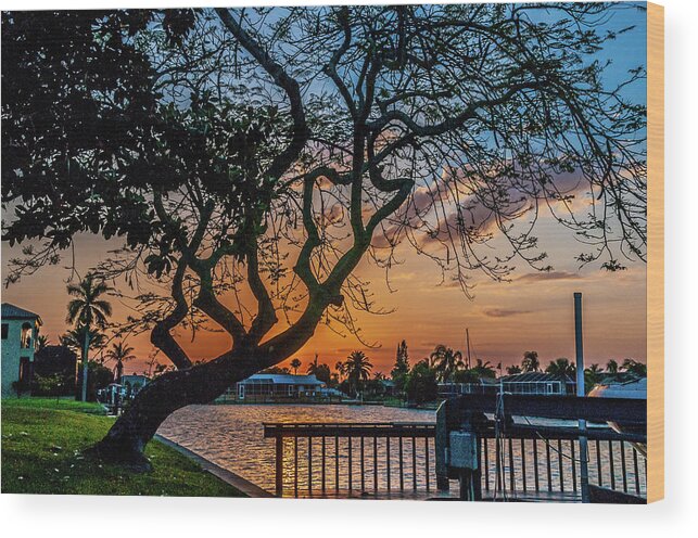 Evening Wood Print featuring the photograph Golden Hour by Louis Dallara