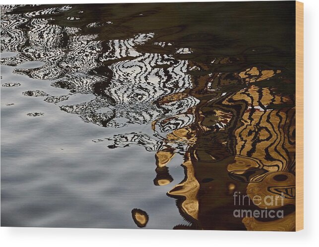 Water Wood Print featuring the photograph Golden Mesh by Lorenzo Cassina