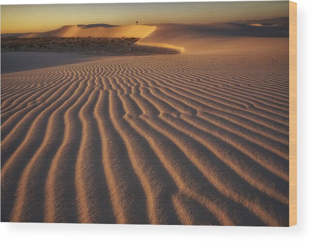 Sand Wood Print featuring the photograph Golden Morning by Lydia Jacobs