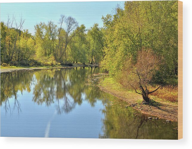 Autumn Wood Print featuring the photograph Golden Trees on Concord River by Luke Moore
