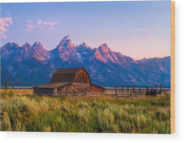  Wood Print featuring the photograph Good Morning, Grand Teton by Wenjin Yu