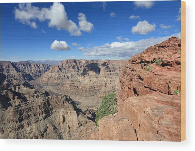 Scenics Wood Print featuring the photograph Grand Canyon National Park by Vuk8691