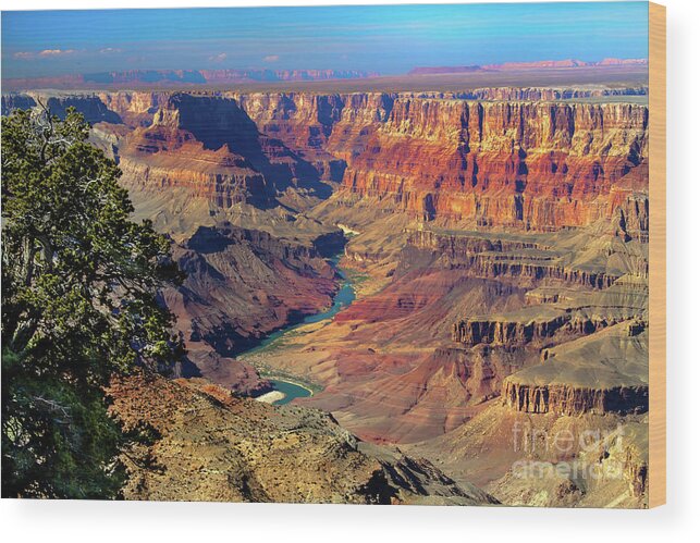 Grand Canyon Wood Print featuring the photograph Grand Canyon Sunset by Robert Bales