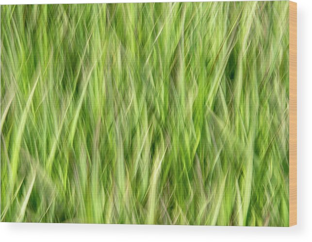Grass Wood Print featuring the photograph Grass Pattern 2 by Kathy Paynter