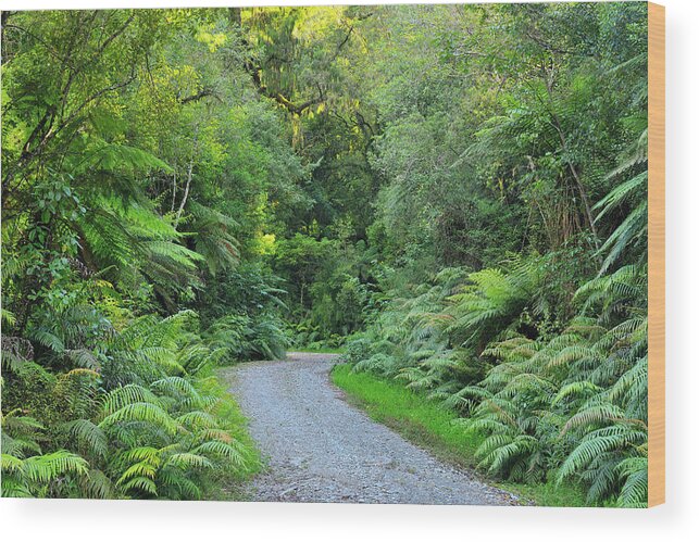 Tranquility Wood Print featuring the photograph Gravel Road by Raimund Linke