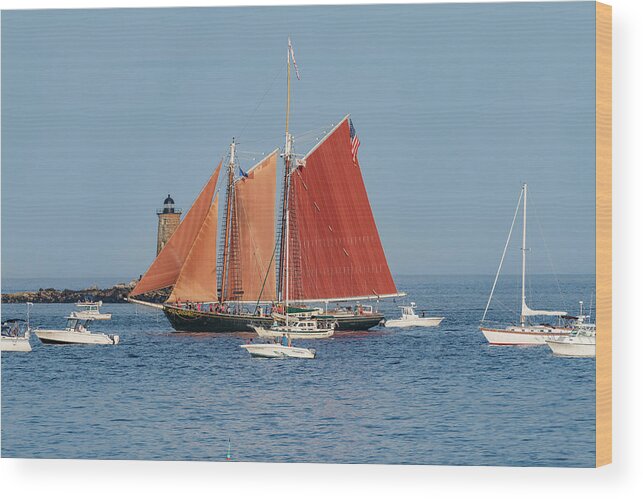 Boats Wood Print featuring the photograph Great Island Common in NHew Castle, NH by Bob Doucette