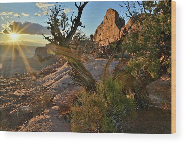 Canyonlands National Park Wood Print featuring the photograph Half Dome at Sunset at Green River Overlook by Ray Mathis