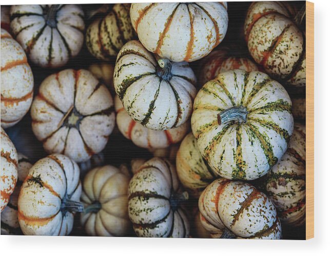 Pumpkin Wood Print featuring the photograph Harvest by Jason Roberts