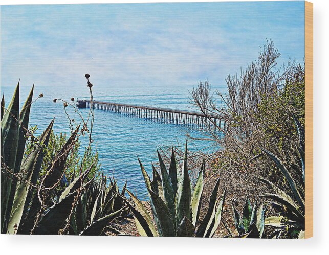 Pier Wood Print featuring the photograph Haskell Beach Pier by Glenn McCarthy Art and Photography