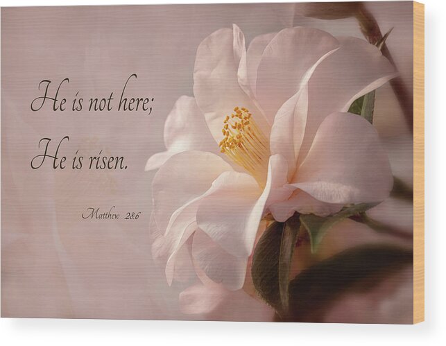 Flower Wood Print featuring the photograph He Is Risen by Mary Jo Allen