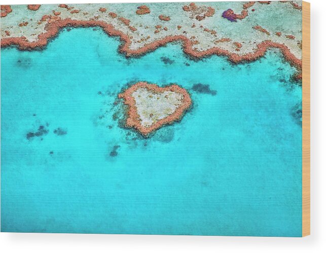 Scenics Wood Print featuring the photograph Heart Reef by Aaron Foster