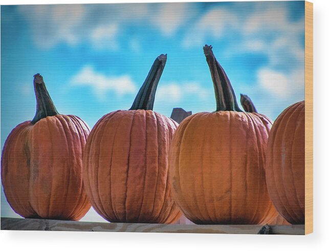Pumpkins Wood Print featuring the photograph High Pumpkins by Cathy Kovarik