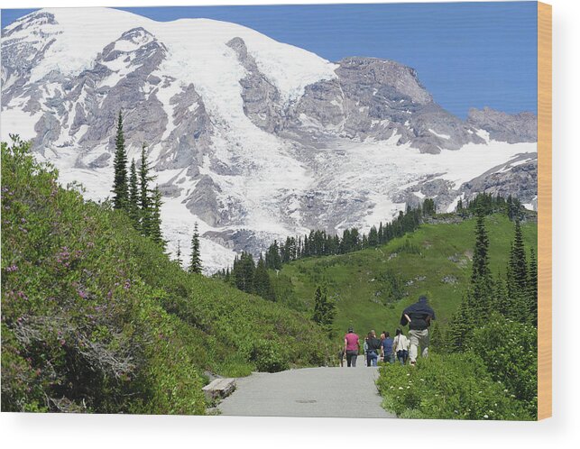 Glacier Wood Print featuring the photograph Hikers on trail above Paradise with Mount Rainier by Steve Estvanik