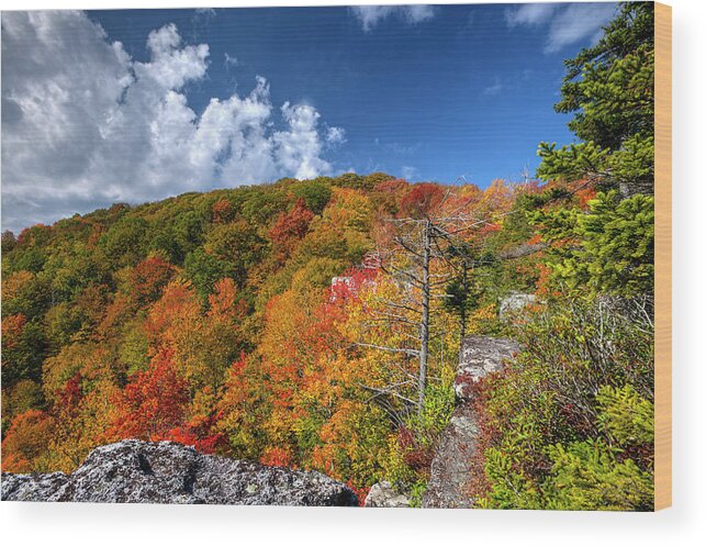 Fall Wood Print featuring the photograph Hillside of color by Dan Friend