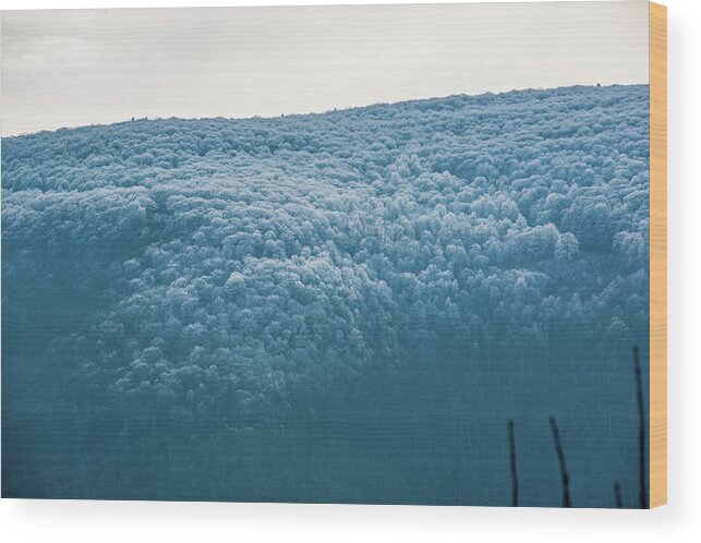 Blue Ridge Wood Print featuring the photograph Hoarfrost Blue Mountain by Mark Duehmig