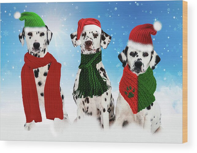 Christmas Wood Print featuring the digital art Holiday Snow Dogs by Doreen Erhardt