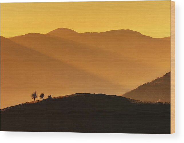 Bulgaria Wood Print featuring the photograph Holy Mountain by Evgeni Dinev
