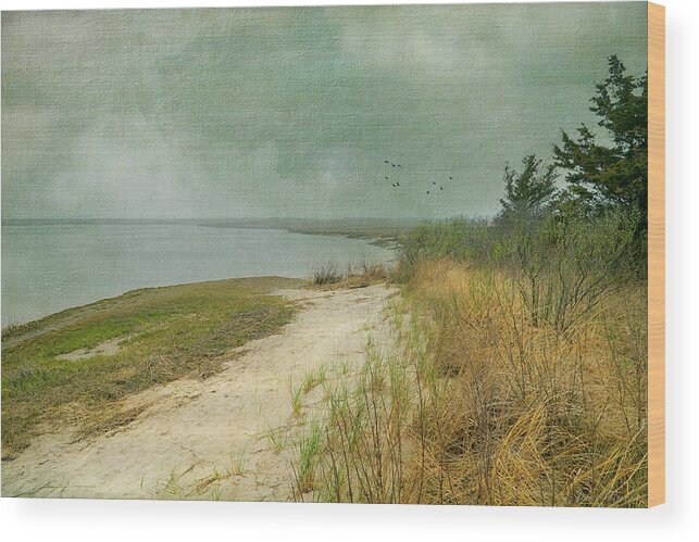 Landscape Wood Print featuring the photograph Home by the Sea by John Rivera