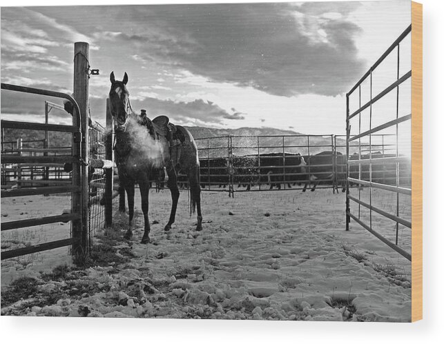 Ranch Wood Print featuring the photograph Horse in Black and White by Julieta Belmont