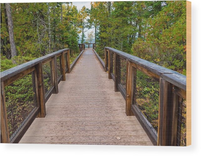 Trail Wood Print featuring the photograph Hunter's Point at Copper Harbor by Susan Rydberg
