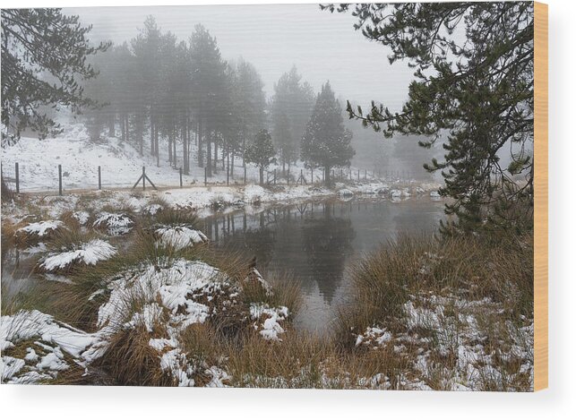 Wintertime Wood Print featuring the photograph Idyllic winter forest landscape at Troodos Mountains, Cyprus by Michalakis Ppalis