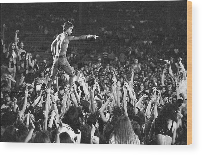 Crowd Wood Print featuring the photograph Iggy Pop Live by Tom Copi